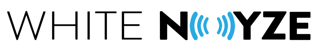 Final White Noyze Logo-01